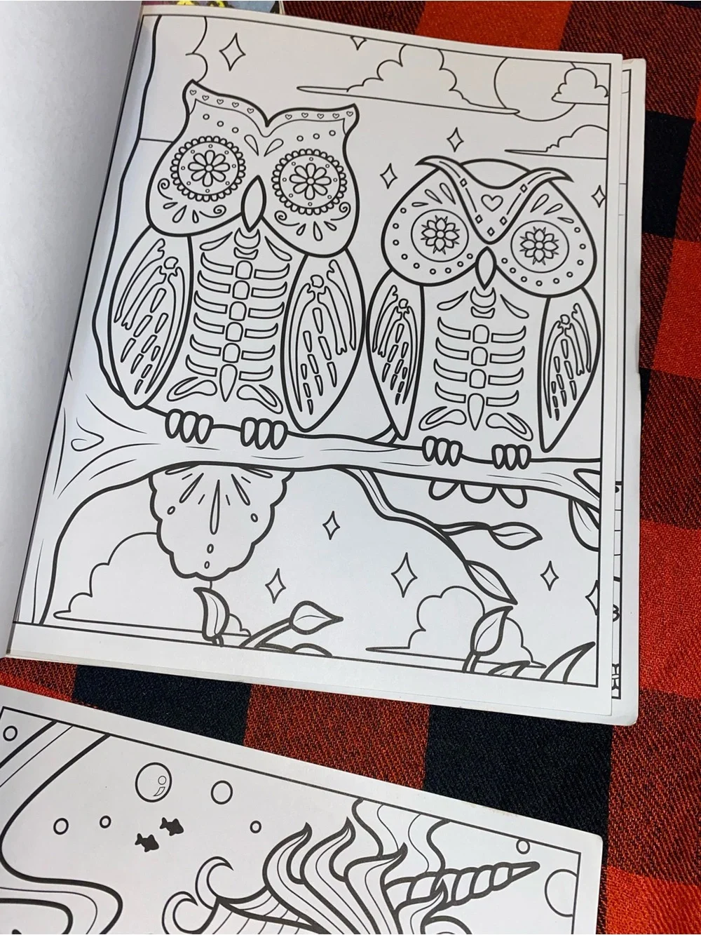 Crayola shown artwork cover